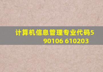 计算机信息管理专业代码590106 610203